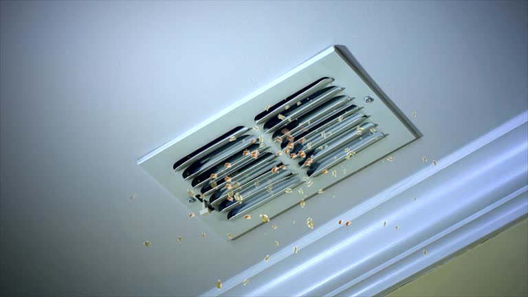 Best Air Vent Cleaning Services  in Kendall West, FL